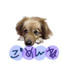 いぶりお（個別スタンプ：11）