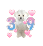 Iちゃんのかわいすぎすたんぷ！（個別スタンプ：1）