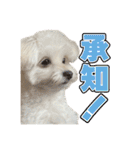 Iちゃんのかわいすぎすたんぷ！（個別スタンプ：2）