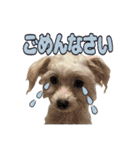 Iちゃんのかわいすぎすたんぷ！（個別スタンプ：3）