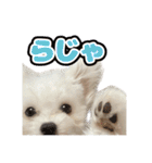 Iちゃんのかわいすぎすたんぷ！（個別スタンプ：5）