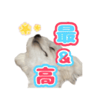 Iちゃんのかわいすぎすたんぷ！（個別スタンプ：6）
