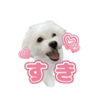 Iちゃんのかわいすぎすたんぷ！（個別スタンプ：7）
