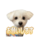 Iちゃんのかわいすぎすたんぷ！（個別スタンプ：8）