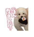 Iちゃんのかわいすぎすたんぷ！（個別スタンプ：11）