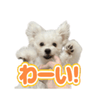 Iちゃんのかわいすぎすたんぷ！（個別スタンプ：12）
