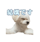 Iちゃんのかわいすぎすたんぷ！（個別スタンプ：13）