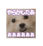 Iちゃんのかわいすぎすたんぷ！（個別スタンプ：14）