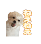 Iちゃんのかわいすぎすたんぷ！（個別スタンプ：15）