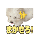 Iちゃんのかわいすぎすたんぷ！（個別スタンプ：17）