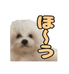 Iちゃんのかわいすぎすたんぷ！（個別スタンプ：18）