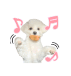 Iちゃんのかわいすぎすたんぷ！（個別スタンプ：20）