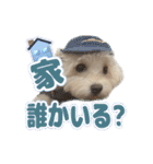 Iちゃんのかわいすぎすたんぷ！（個別スタンプ：22）