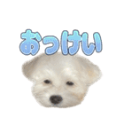 Iちゃんのかわいすぎすたんぷ！（個別スタンプ：23）