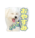 Iちゃんのかわいすぎすたんぷ！（個別スタンプ：26）