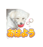 Iちゃんのかわいすぎすたんぷ！（個別スタンプ：27）