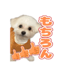 Iちゃんのかわいすぎすたんぷ！（個別スタンプ：28）