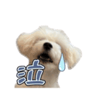 Iちゃんのかわいすぎすたんぷ！（個別スタンプ：31）