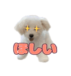 Iちゃんのかわいすぎすたんぷ！（個別スタンプ：33）