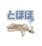 Iちゃんのかわいすぎすたんぷ！（個別スタンプ：34）