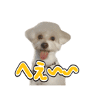 Iちゃんのかわいすぎすたんぷ！（個別スタンプ：35）