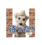 Iちゃんのかわいすぎすたんぷ！（個別スタンプ：36）