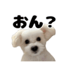 Iちゃんのかわいすぎすたんぷ！（個別スタンプ：37）