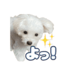 Iちゃんのかわいすぎすたんぷ！（個別スタンプ：38）