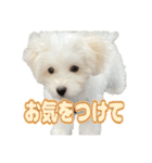 Iちゃんのかわいすぎすたんぷ！（個別スタンプ：39）