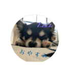家の子達！！（個別スタンプ：8）