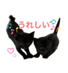 にゃんぴーす卒猫（team torapopo 1）（個別スタンプ：35）