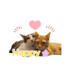 にゃんぴーす卒猫（team torapopo 1）（個別スタンプ：36）