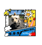 シナモ10（個別スタンプ：2）