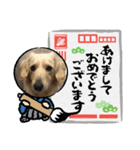 シナモ10（個別スタンプ：5）