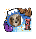 シナモ10（個別スタンプ：7）