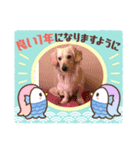 シナモ10（個別スタンプ：8）
