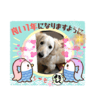 シナモ10（個別スタンプ：9）