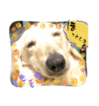 シナモ10（個別スタンプ：11）