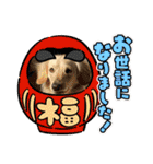 シナモ10（個別スタンプ：16）