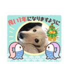 シナモ10（個別スタンプ：18）