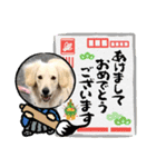 シナモ10（個別スタンプ：20）