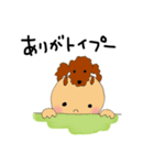 Animals on my head（個別スタンプ：1）