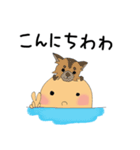 Animals on my head（個別スタンプ：10）