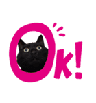 BlackCatRUDY★Sticker2（個別スタンプ：1）