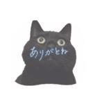 BlackCatRUDY★Sticker2（個別スタンプ：5）