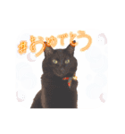 BlackCatRUDY★Sticker2（個別スタンプ：7）