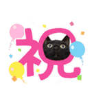 BlackCatRUDY★Sticker2（個別スタンプ：9）