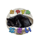 BlackCatRUDY★Sticker1（個別スタンプ：6）