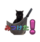 BlackCatRUDY★Sticker1（個別スタンプ：15）