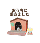 にゃーにゃんコレクション3/日常（個別スタンプ：37）